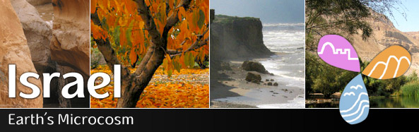Israel - earth Microcosm