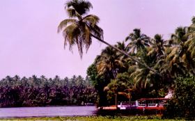 Backwaters of Kerala