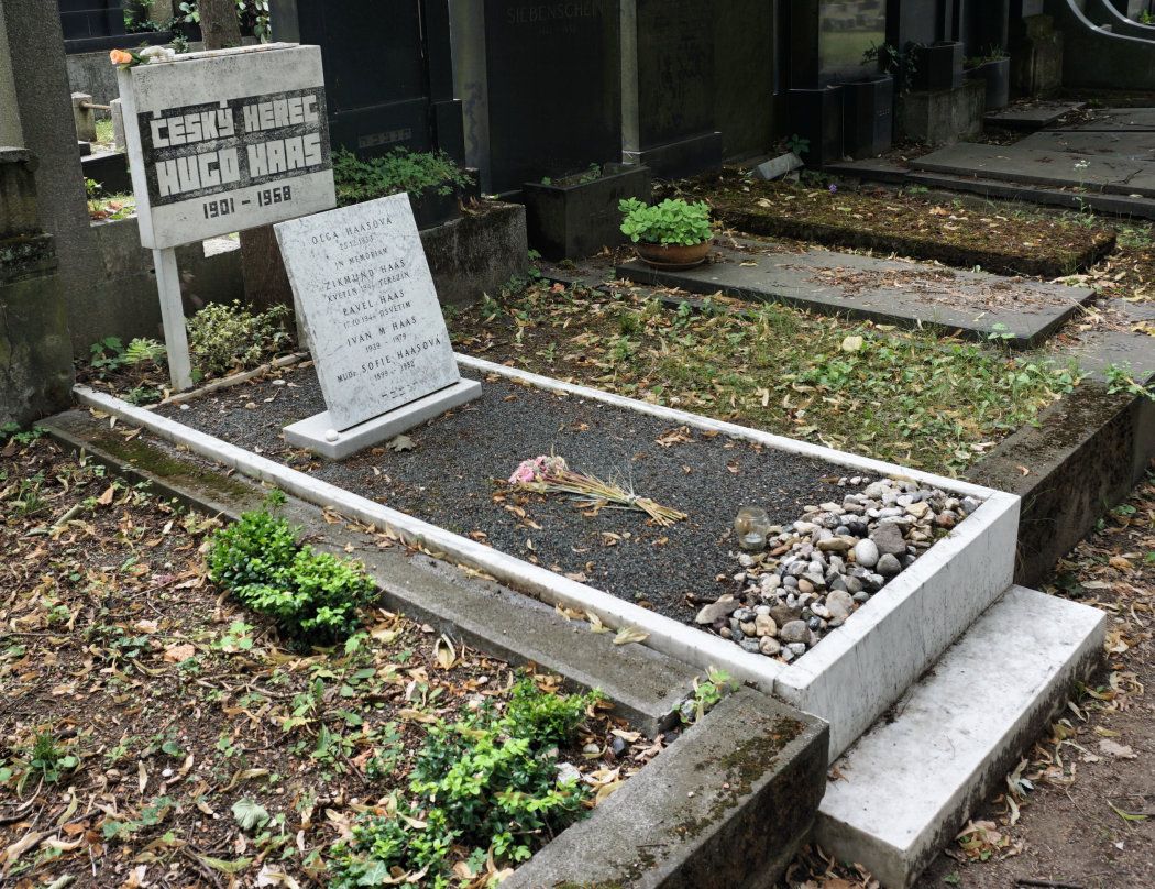 Brno_Jewish_Cemetery_DSC06929