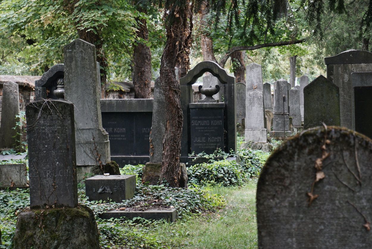 Brno_Jewish_Cemetery_DSC06948