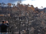 Carmel-After-Fire-8-jan-2011-P1540612.jpg
