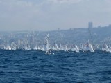 Haifa_420_Championship_P1410771.jpg