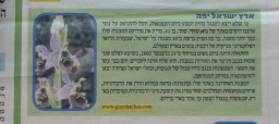 "Maariv Online" Apr 25, 2004