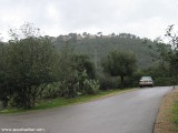 The road to Beit Oren