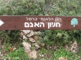 The \"Lake\" Picnic area, Nahal Oren