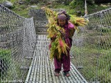Nepal_Manaslu_Tsum_Bridges_P1710288.jpg