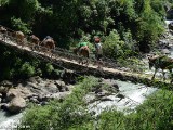 Nepal_Manaslu_Tsum_Bridges_P1720669.jpg