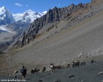 Nepal_Tibet_Border_Trek_P1730886.jpg