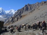 Nepal_Tibet_Border_Trek_P1730903.jpg
