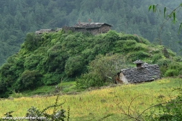 Tsum_Valley_Nepal_Trek_P1710272.jpg