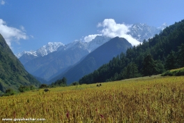 Tsum_Valley_Nepal_Trek_P1720510.jpg