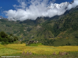 Tsum_Valley_Nepal_Trek_P1720524.jpg