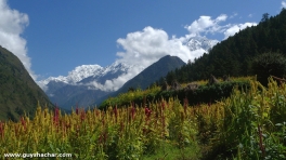 Tsum_Valley_Nepal_Trek_P1720569.jpg