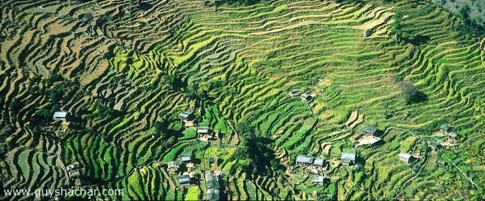 Terraces from a bird's view