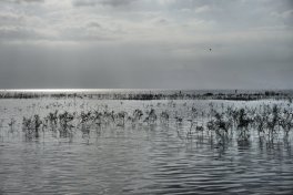 Sea_of_Galilee_Kayak_DSC09930