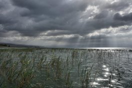 Sea_of_Galilee_Kayak_DSC09941