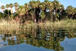 Sea_of_Galilee_Kayak_IMAG9998