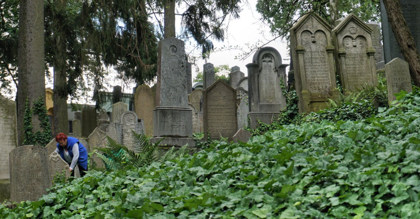 Trebic_Jewish_Cemetery_DSC06870