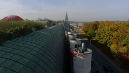 University Library Roof