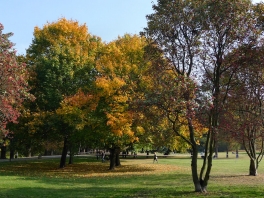 Park Moczydło