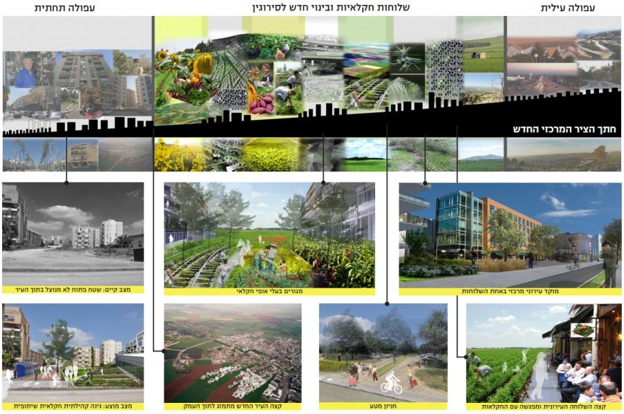 Afula-Rurban-Design-collage.jpg