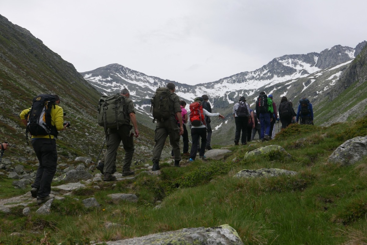 Alpine_Peace_Crossing_Krimml_2015_P1080041