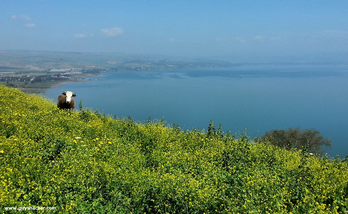 Arbel_Karnei_Hitin_20150316_113525