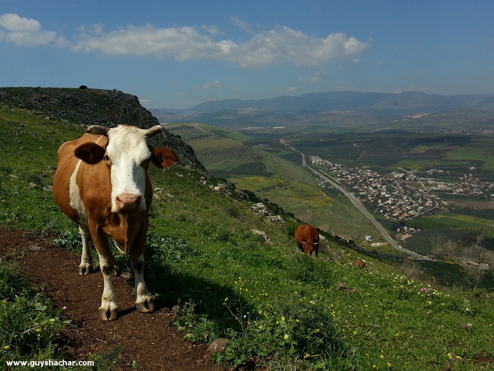 Arbel_Karnei_Hitin_20150316_121646
