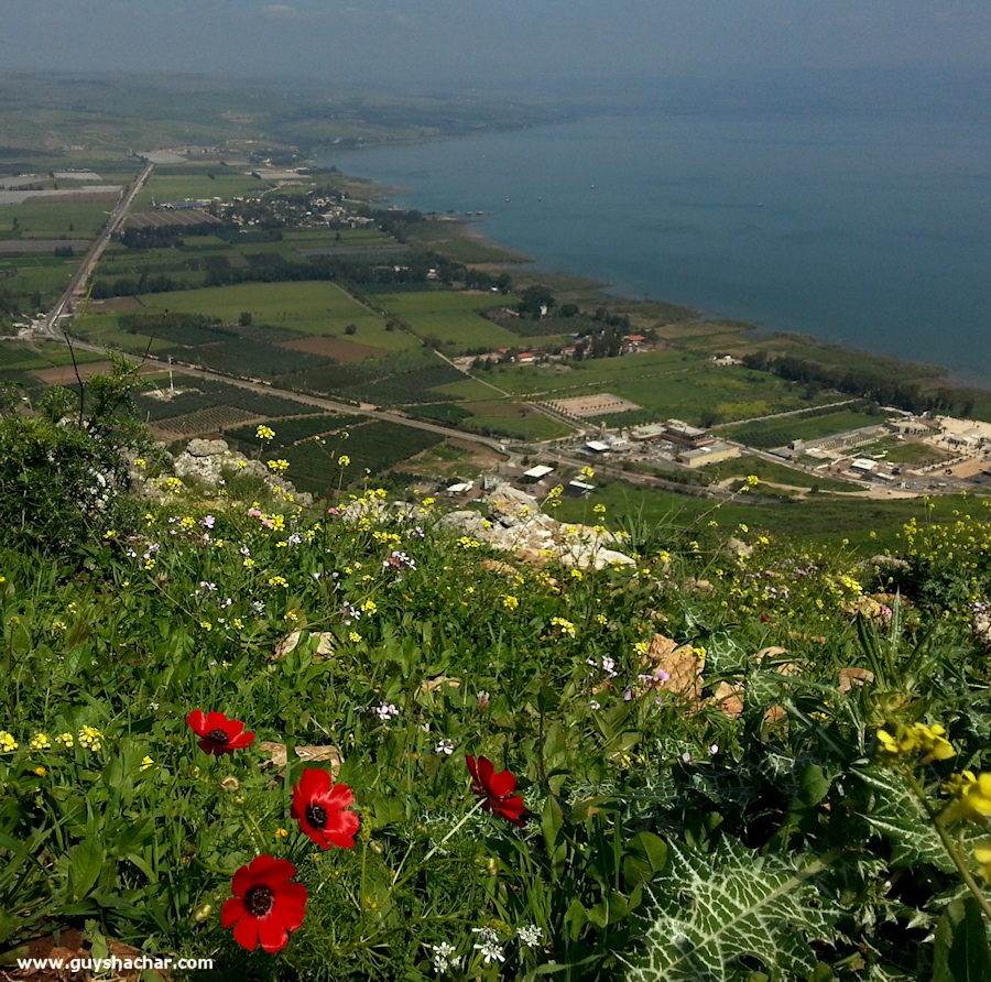 Arbel_Karnei_Hitin_20150316_122125