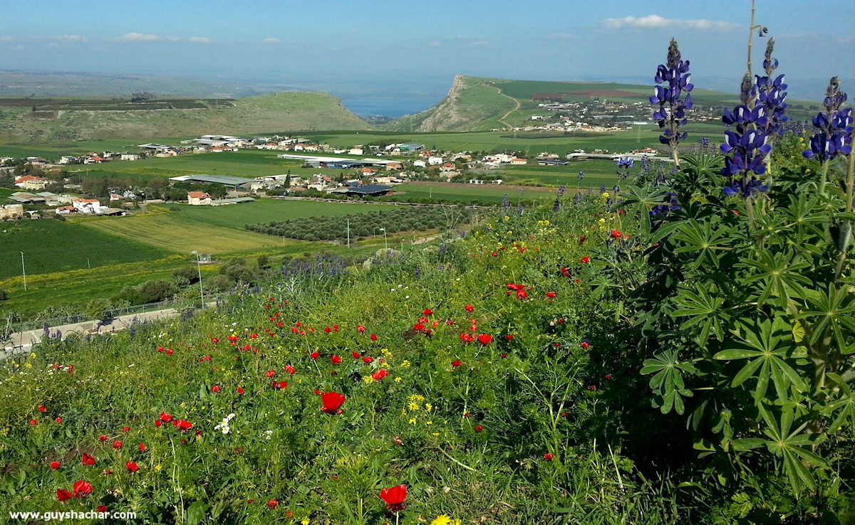 Arbel_Karnei_Hitin_20150316_143636