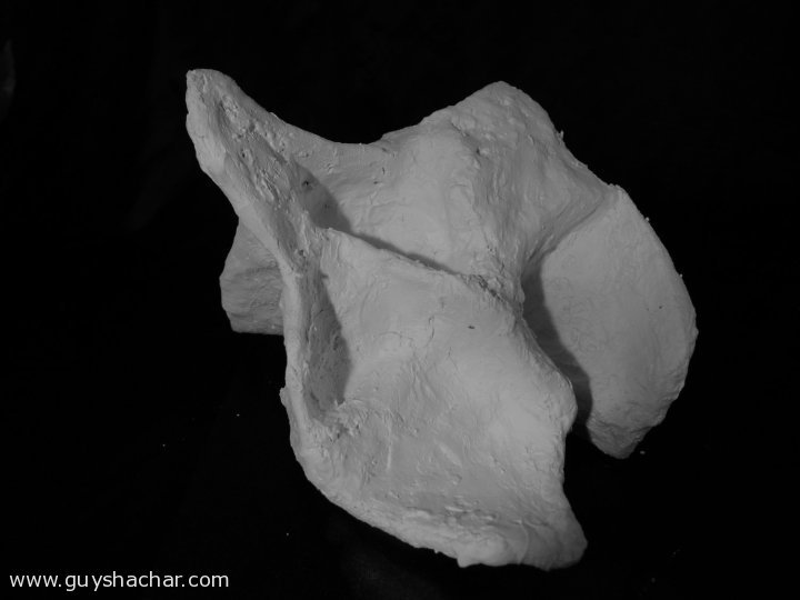 plaster_P1400085.JPG