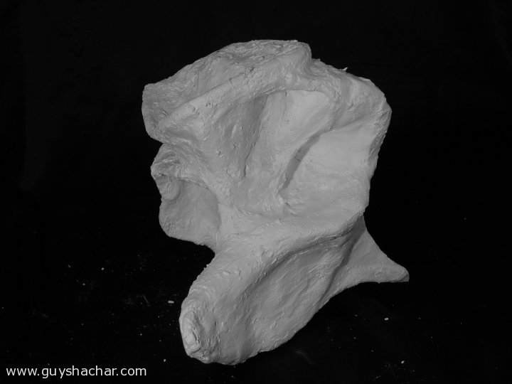 plaster_P1400093.JPG