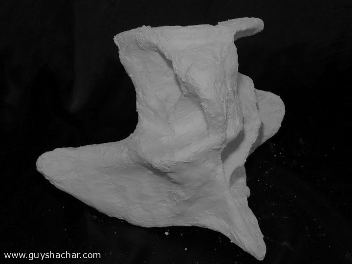 plaster_P1400095.JPG