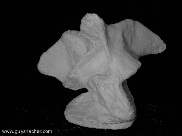 plaster_P1400102.JPG