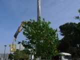 Technion_Obelisk_P1330640.jpg