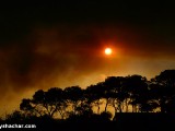 Carmel-Frest-Fire-P1520675.jpg