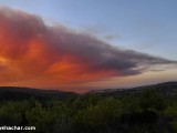 Carmel-Frest-Fire-P1520725.jpg