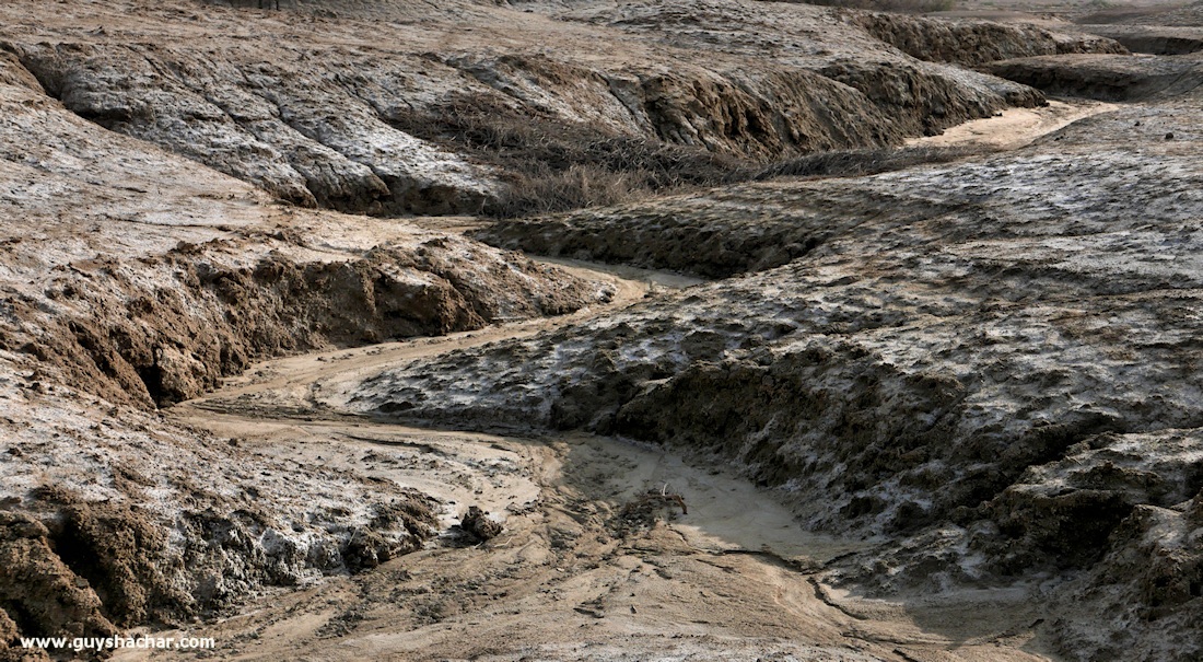 Dead_Sea_Salt_Formations_P1010676