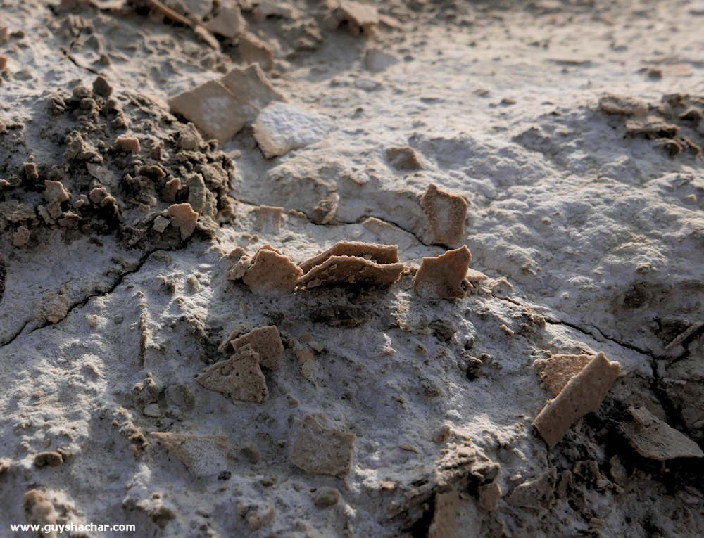 Dead_Sea_Salt_Formations_P1010677