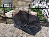 umbrellas-1310983.jpg