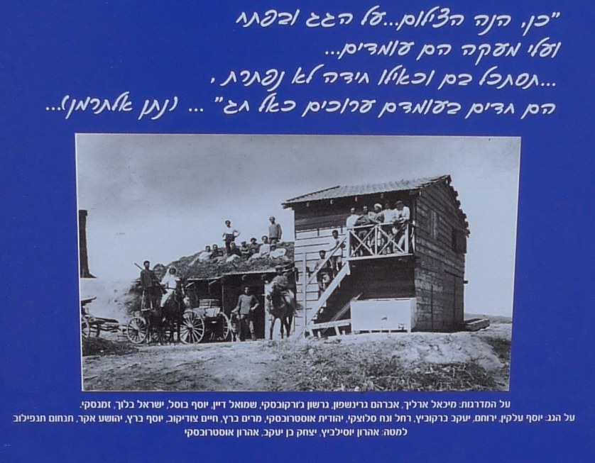 dgania-100-p1520110b.jpg