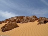 Eilat_Area_Flowers_Mar_2013_DSC_2160