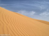 Eilat_Area_Flowers_Mar_2013_DSC_2172