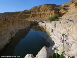Eilat_Mountains_Wadi_Etek_P1340014.jpg