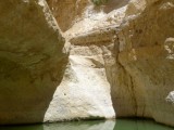Eilat_Mountains_Wadi_Etek_P1340134.jpg