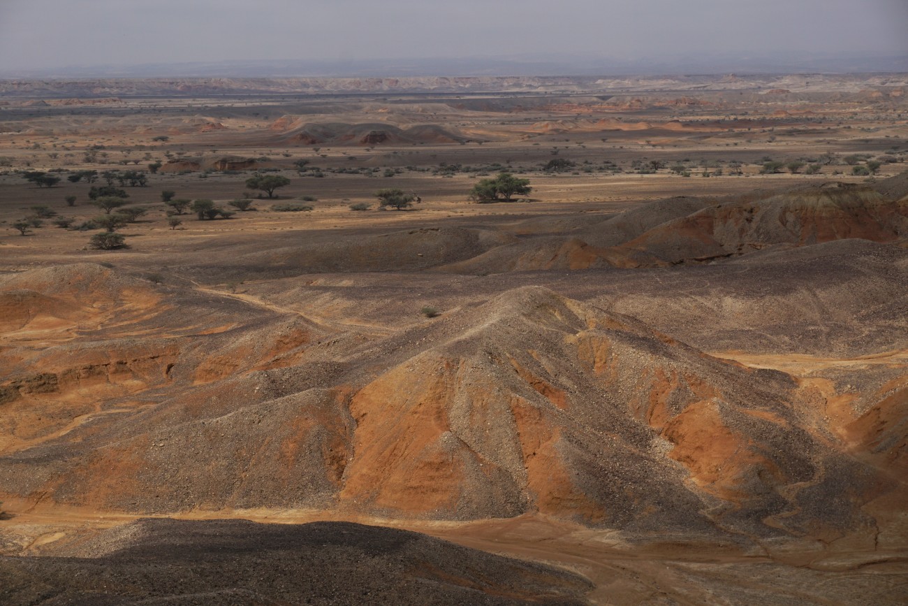 arava-after-floods-dsc04376