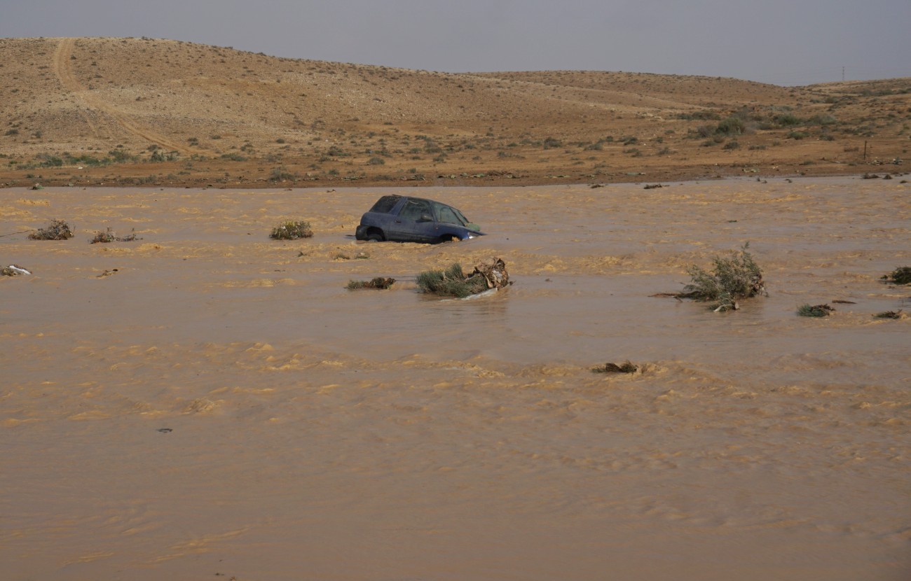 dimona-flows-dsc04496