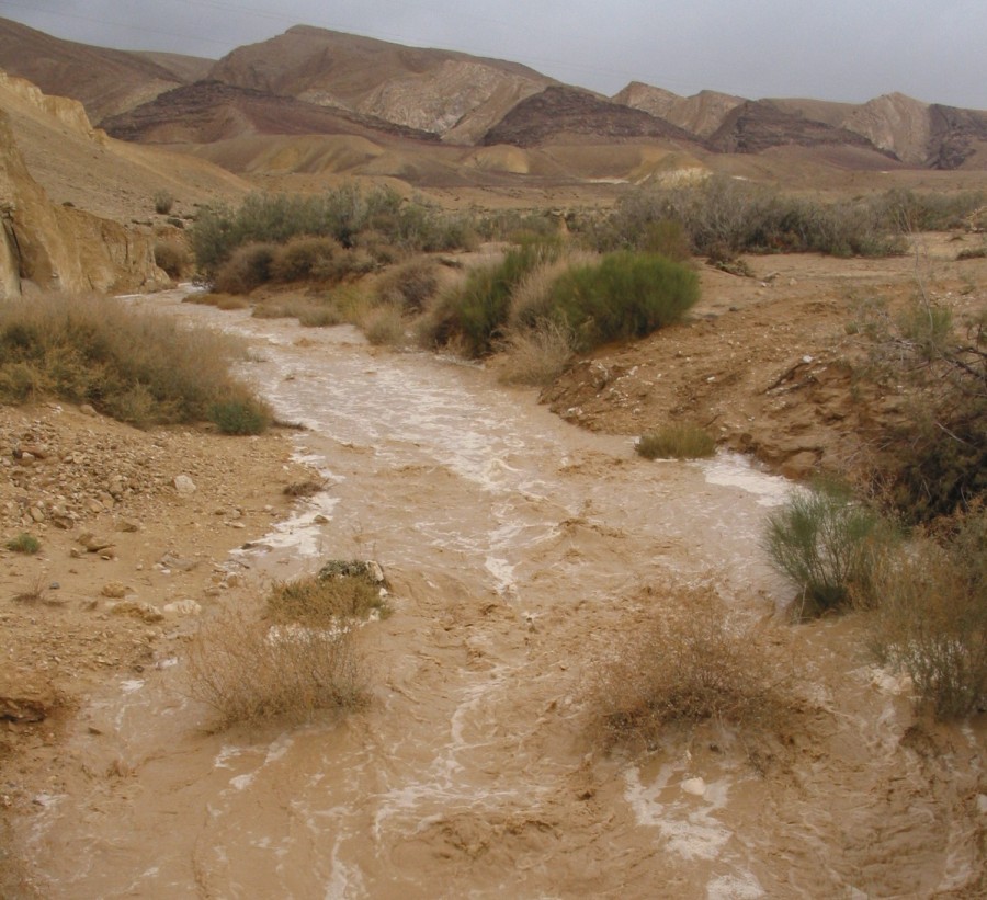 wadi-mamshit-117-1768_img