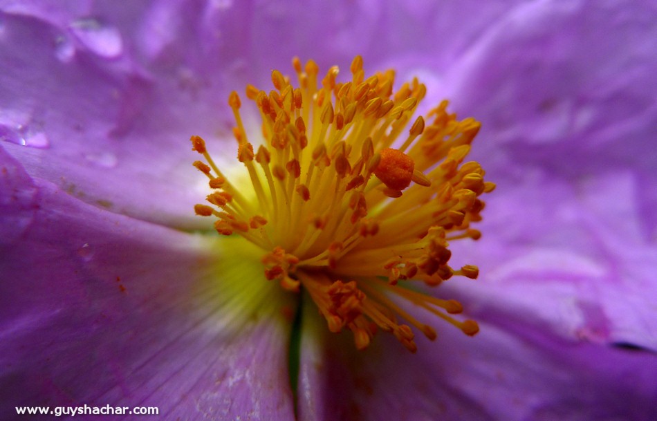 P1860566