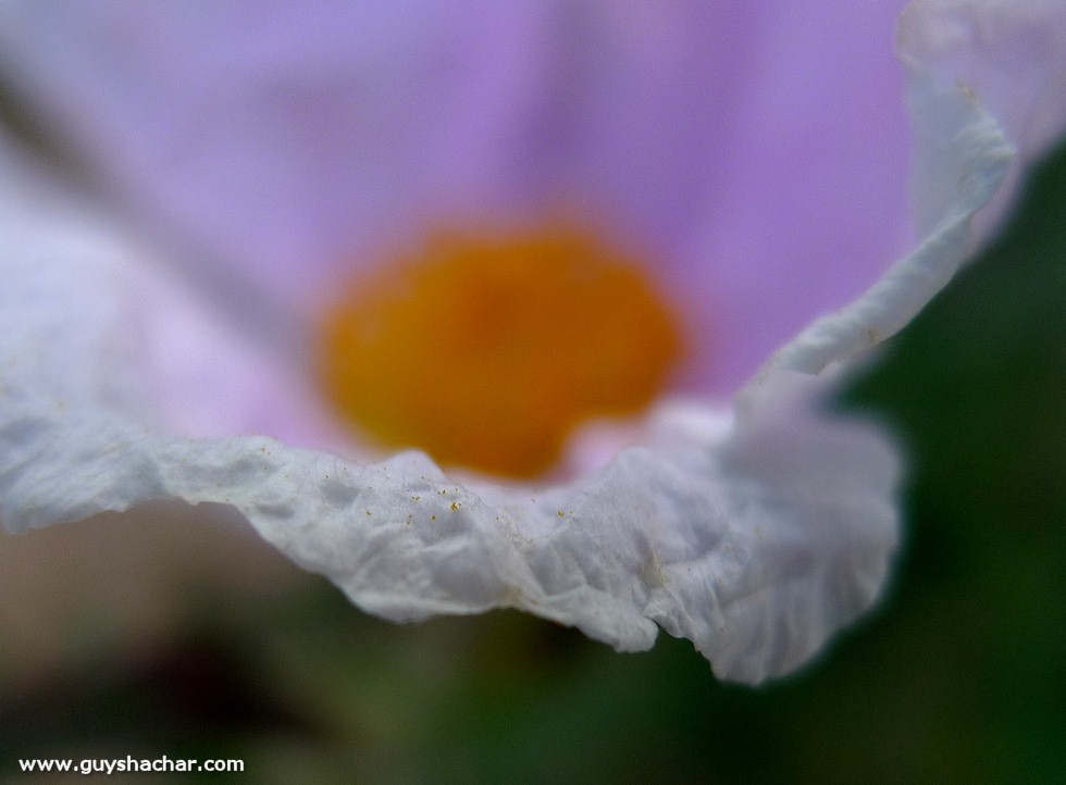 P1860623